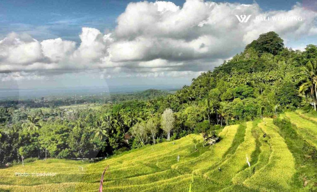 Bukit jambul bali