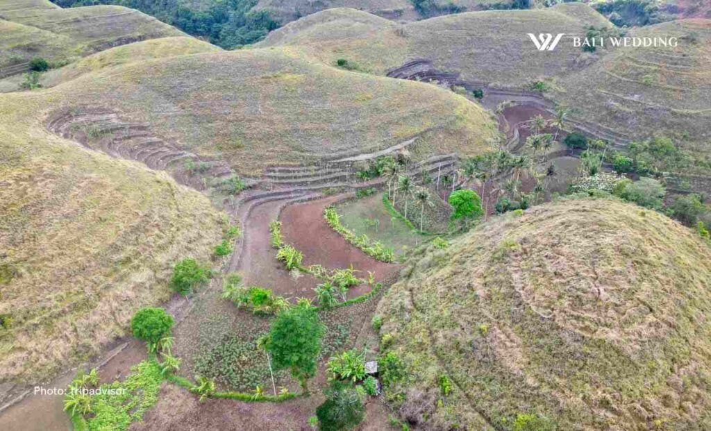 Bukit teletubbies nusa penida